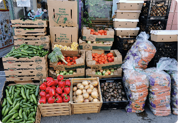 Crates of various fruits and vegetables.